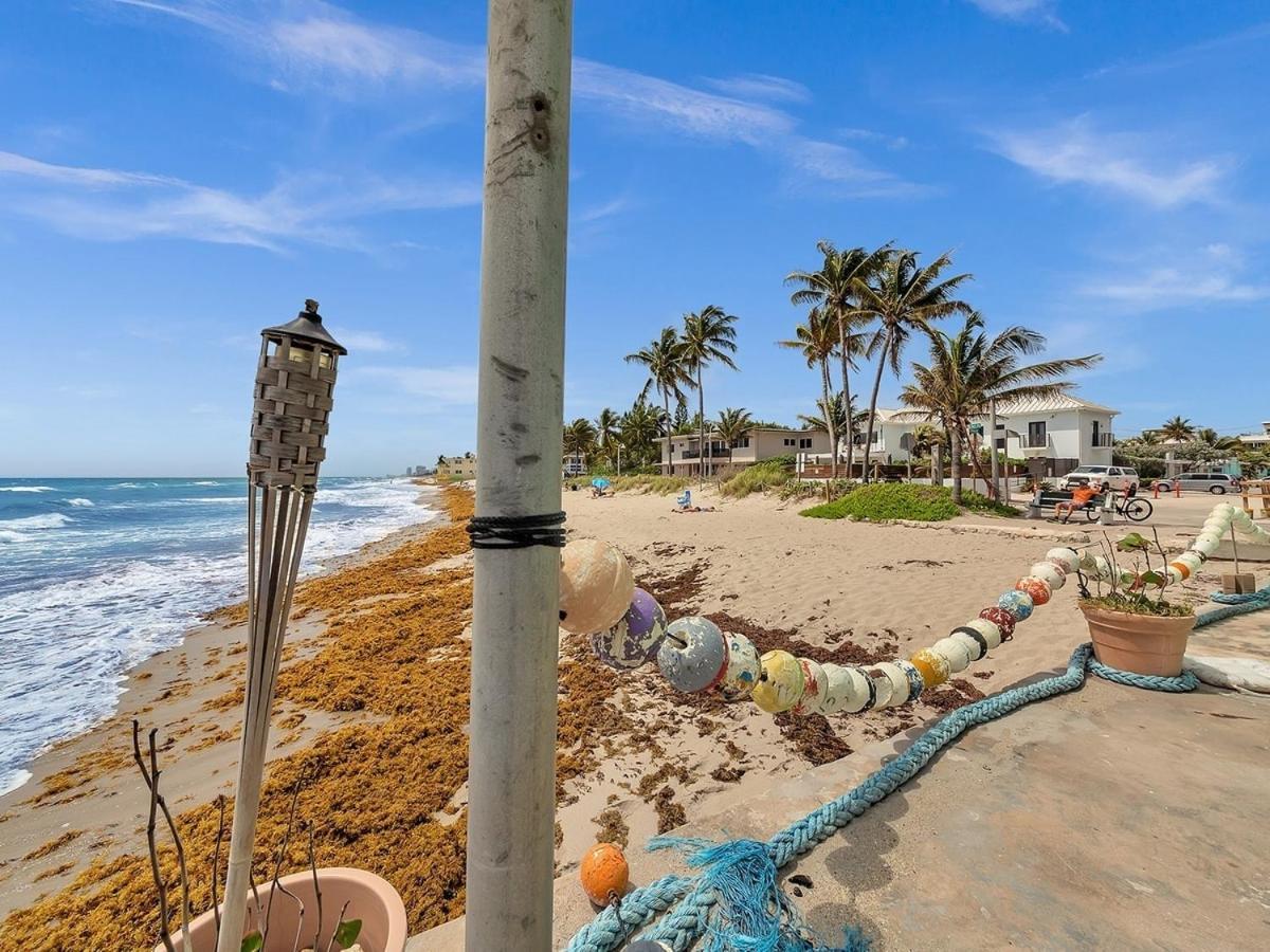 The Shell On Walnut 1Br1Bath Hollywood Beach Free Parking Dania Beach Bagian luar foto